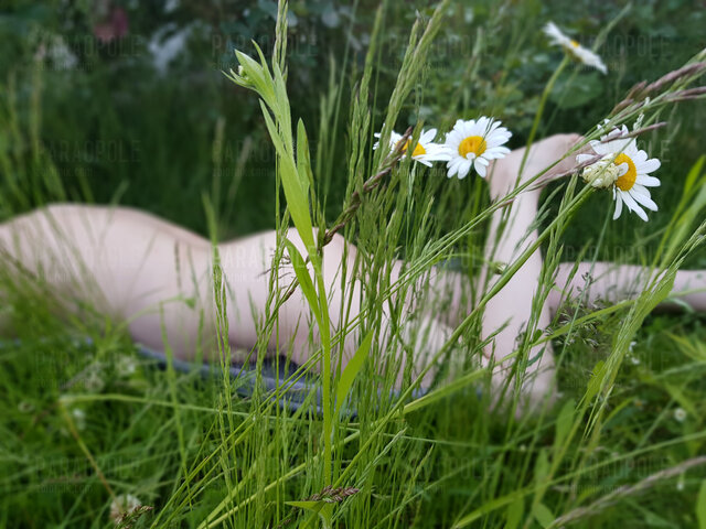 ParaOpole