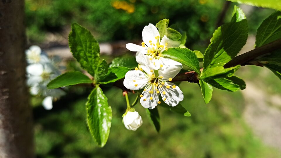 IMG_20210509_134626.jpg - wzwodnik1