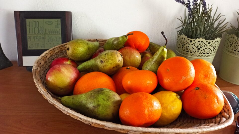 IMG_20210424_112928.jpg - wzwodnik1