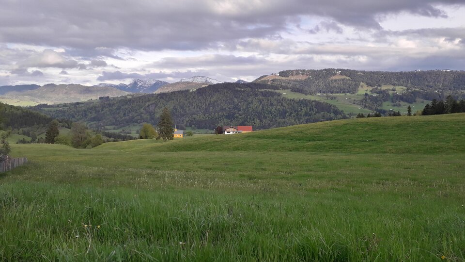 20210518_190401.jpg - Arturek1969