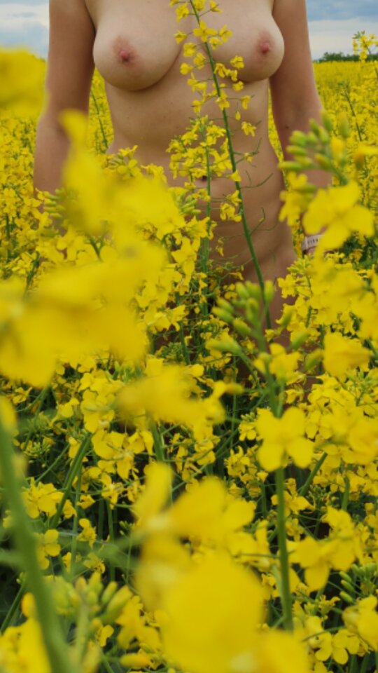 Screenshot_20210523-172803.jpeg - ciekawiswiata2020