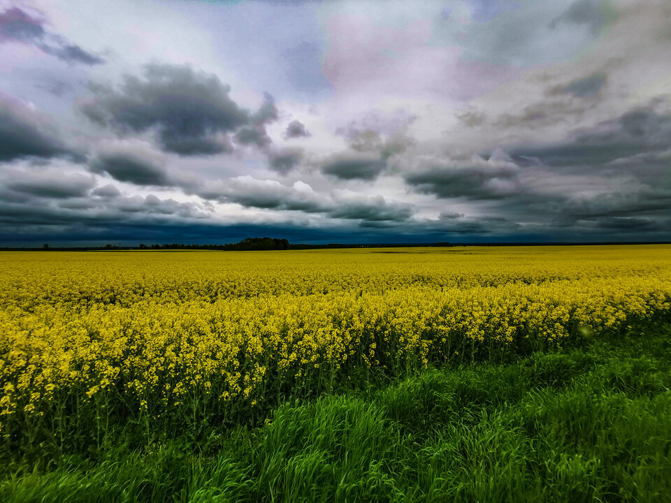 PSX_20210515_001925.jpg - Emergency89