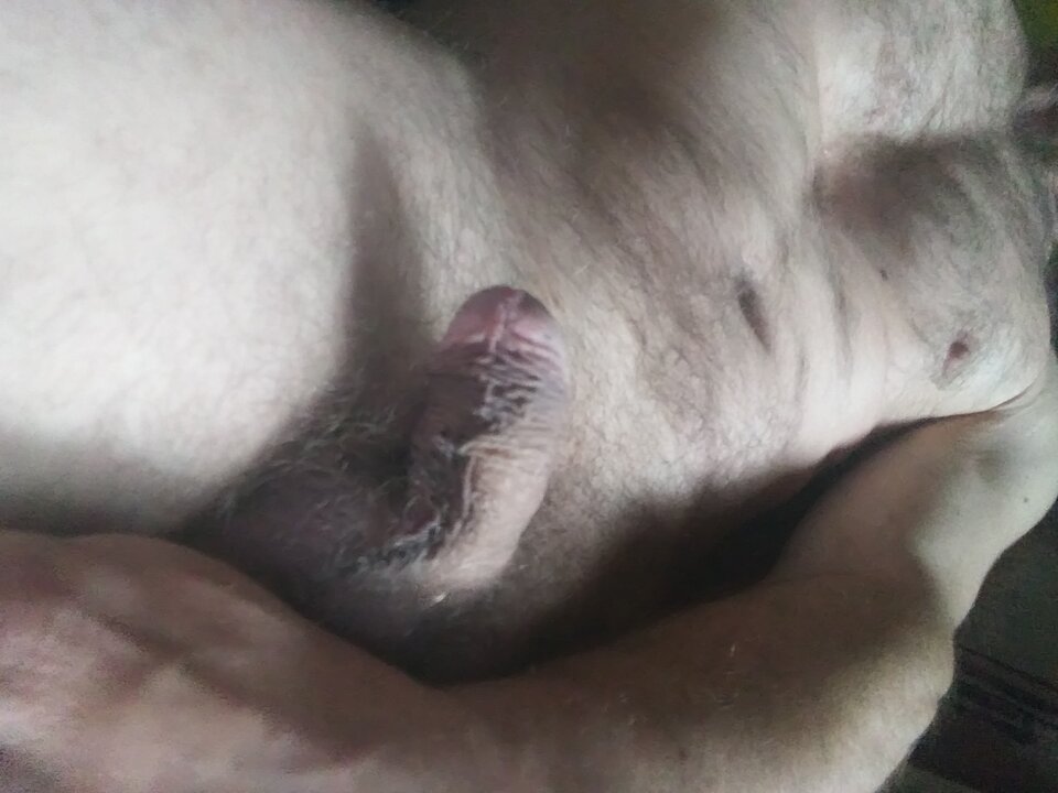 20210526_181317.jpg - Bombi41