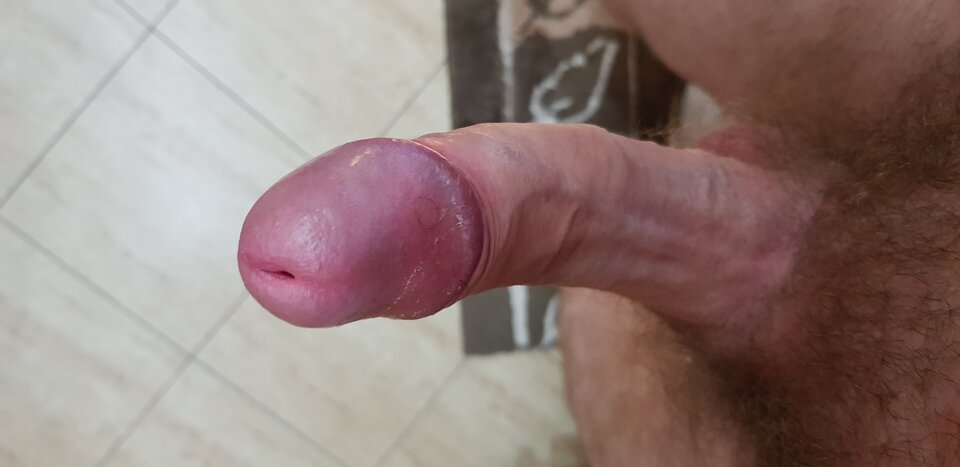 20210526_193942.jpg - Dom1994