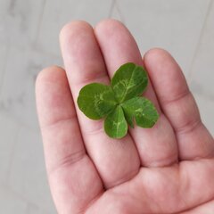 Szczęśliwego dnia życzymy