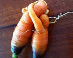 true love