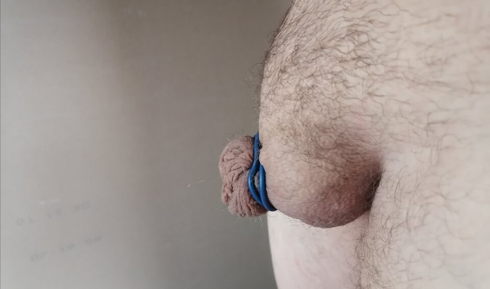 IMG_20210527_184602.jpg - aragorn1985