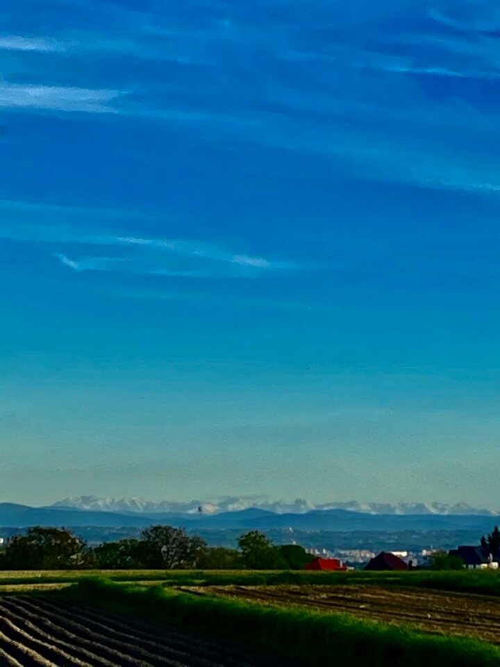 IMG-20210526-WA0004.jpg - MattVegass