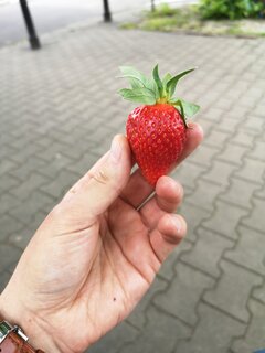 IMG_20210528_132040.jpg