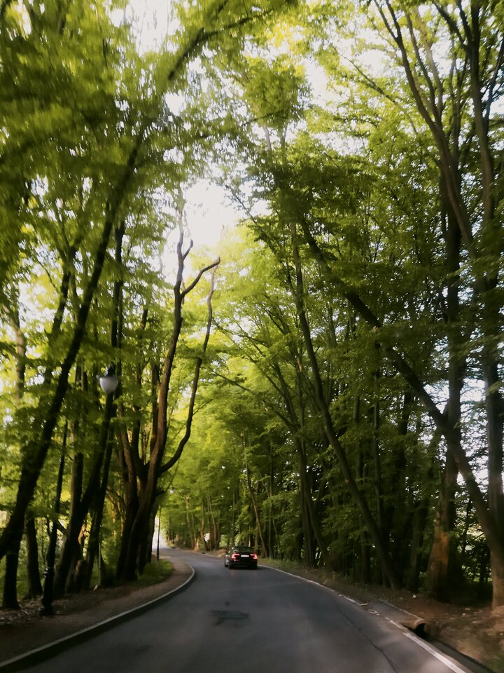 IMG_20210528_205401.jpg - MattVegass