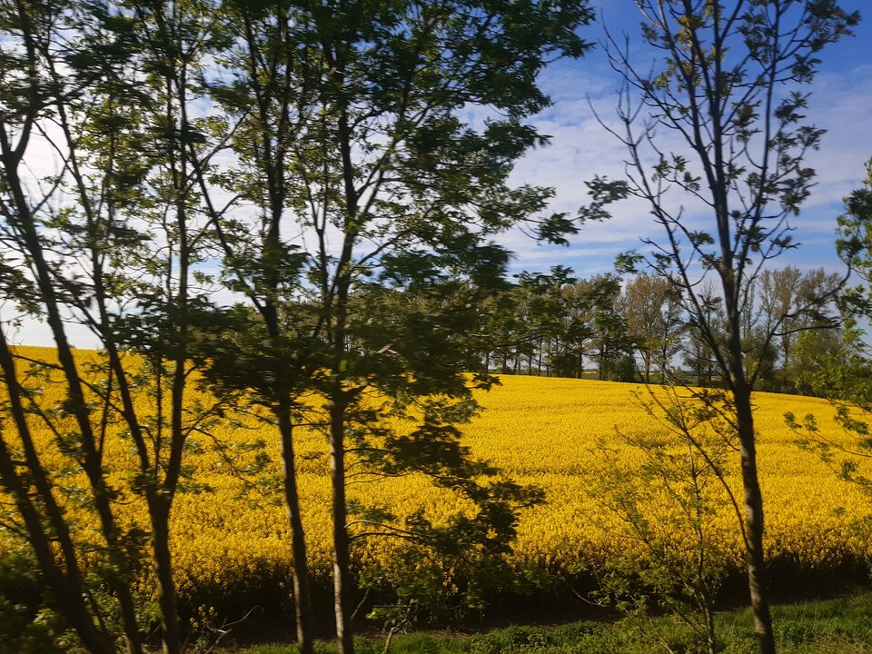 20210528_172711.jpg - torii99