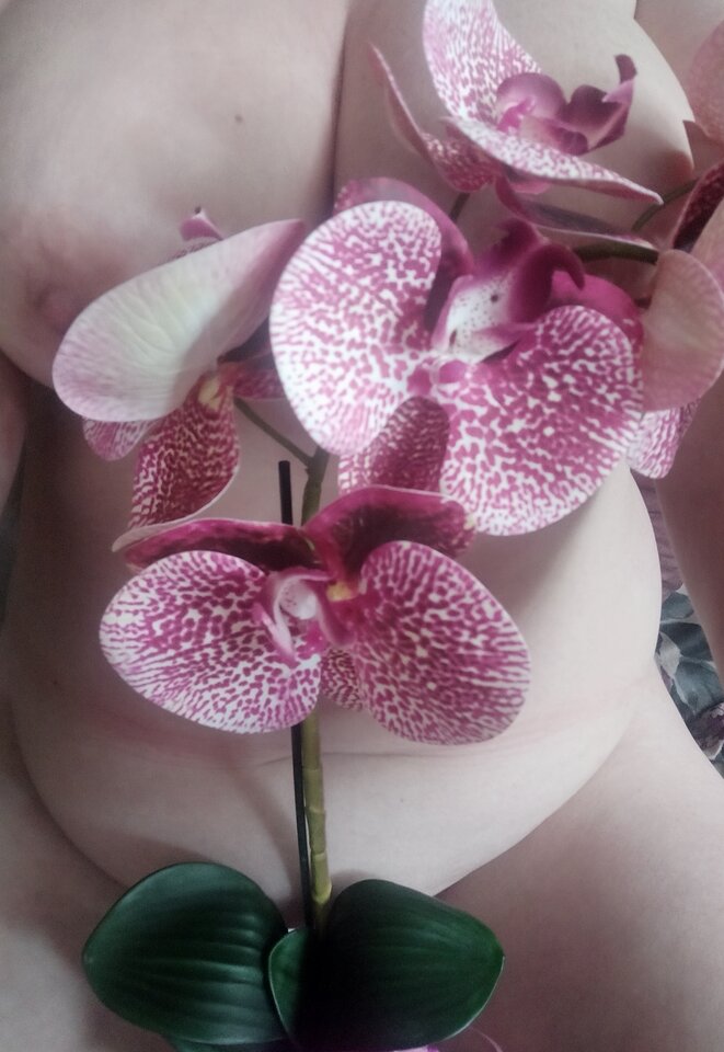 IMG_20210529_111828.jpg - Ona33On48