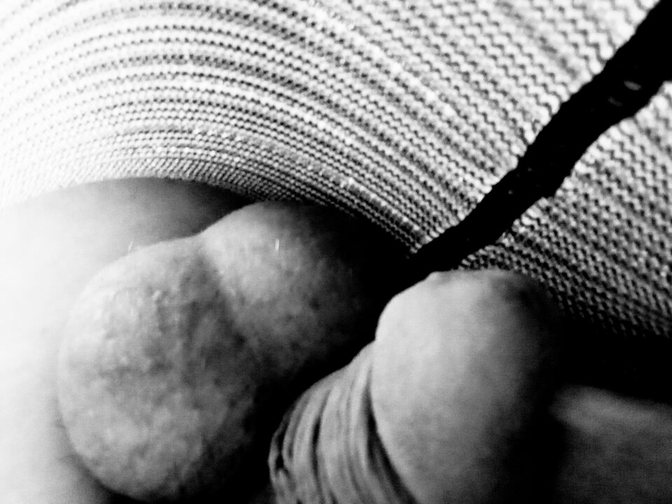 IMG_20210529_133658.jpg - Przygoda123456