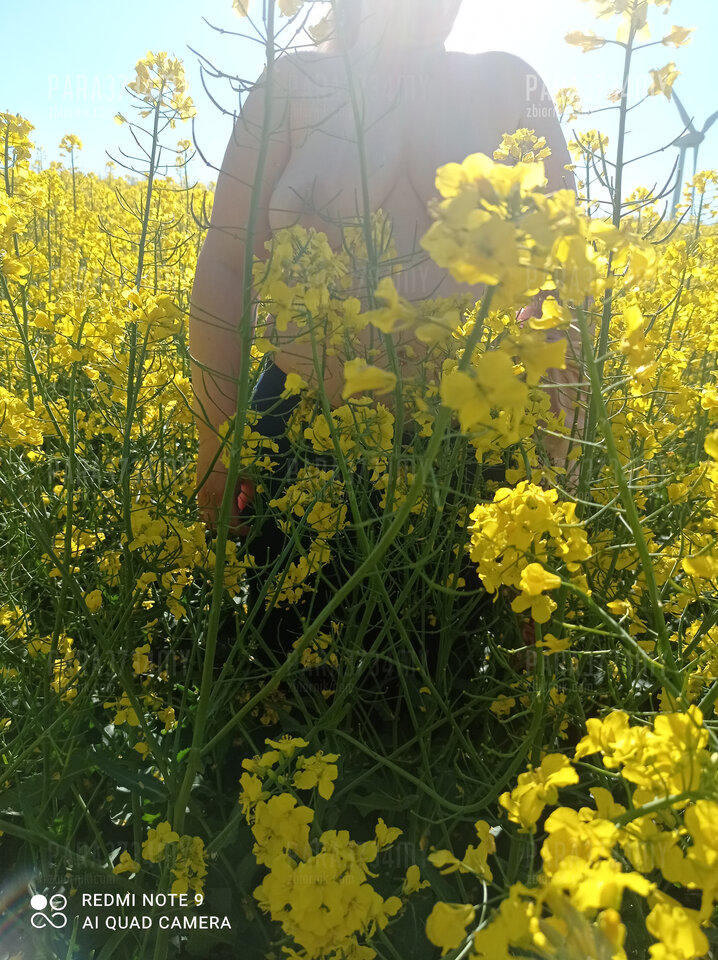 IMG_20210529_165440.jpg - PARA3734my