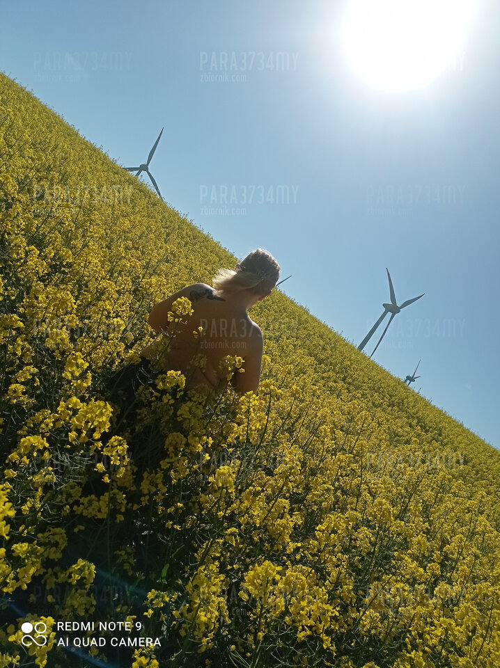 IMG_20210529_165417.jpg - PARA3734my