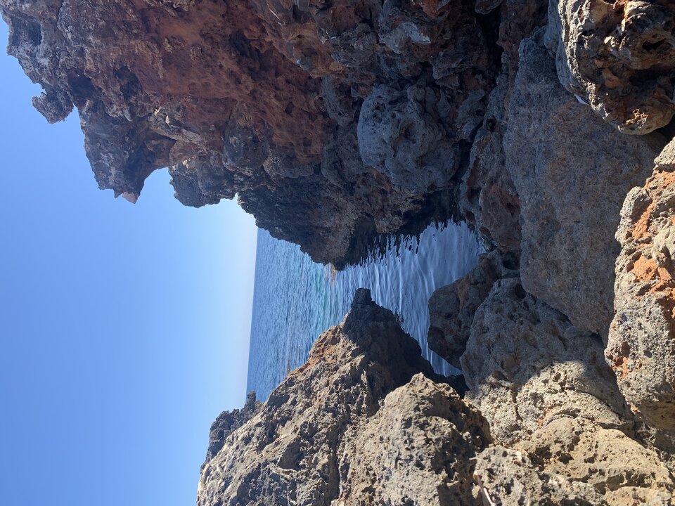 C151AC22-CD6E-4B98-91A1-61CBEB0B6EB4.jpeg - moby_dick