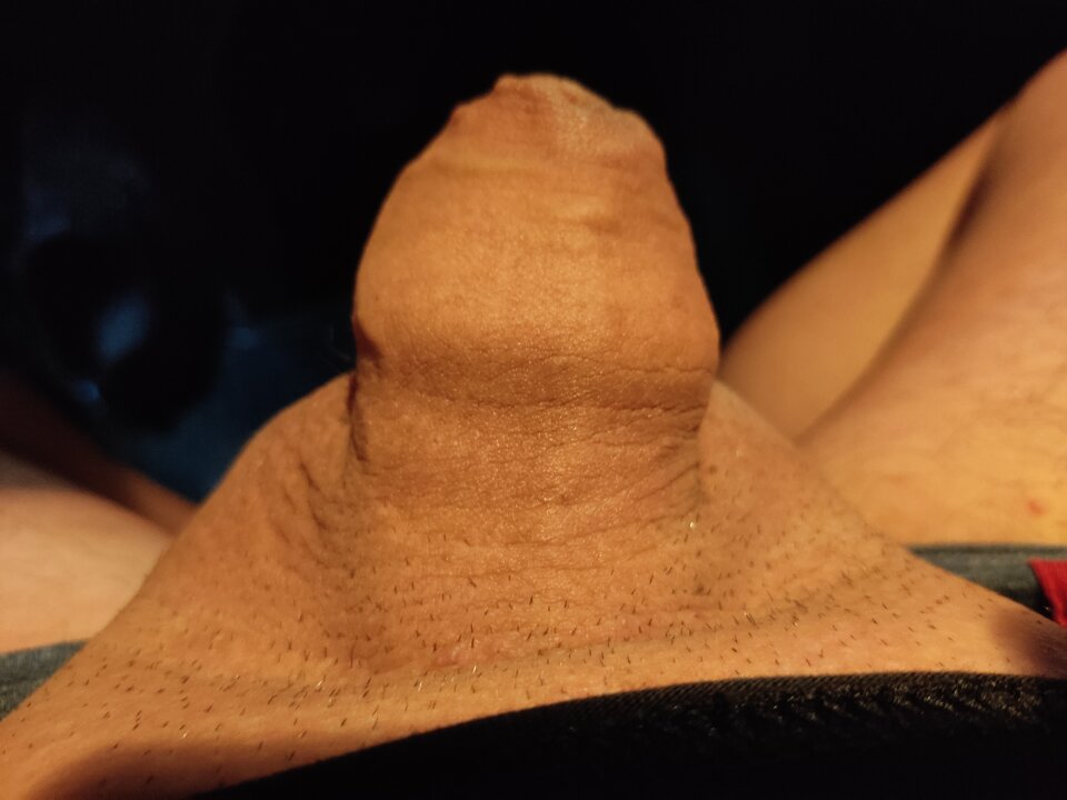 16223477135416372312510306968152.jpg - RothmansBlue