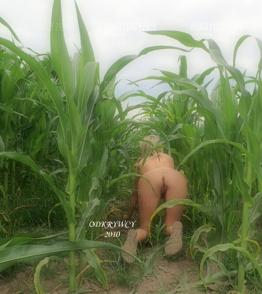 Kto mnie znajdzie ? - Odkrywcy2010