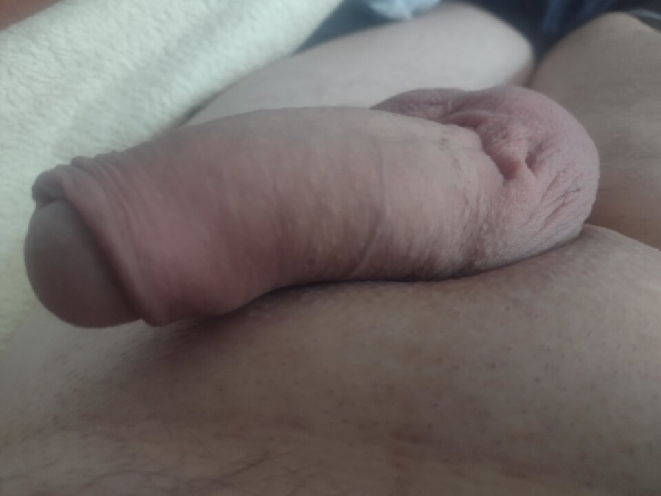 IMG_20210530_160737082.jpg - Ogier2568