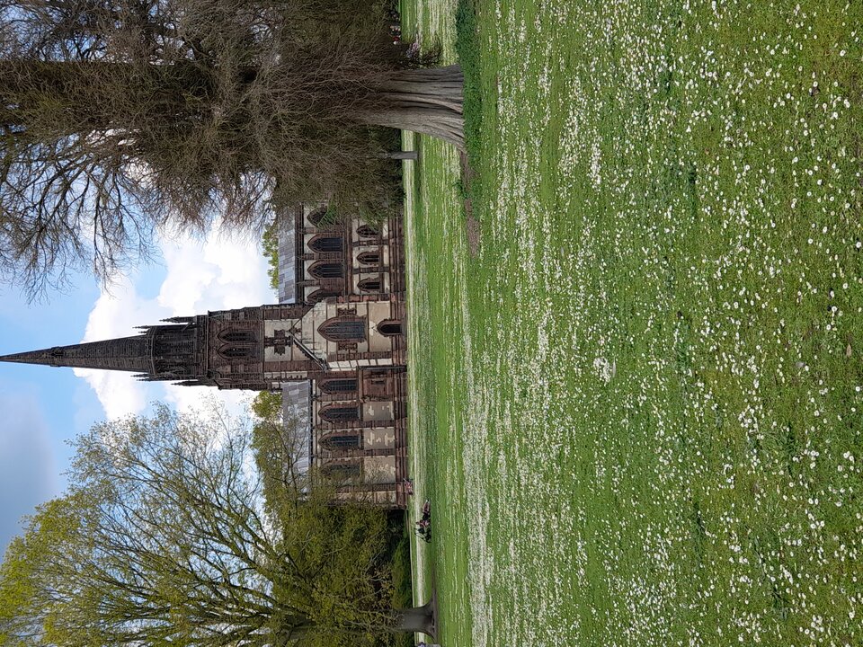 20210529_151330.jpg - adamm19777