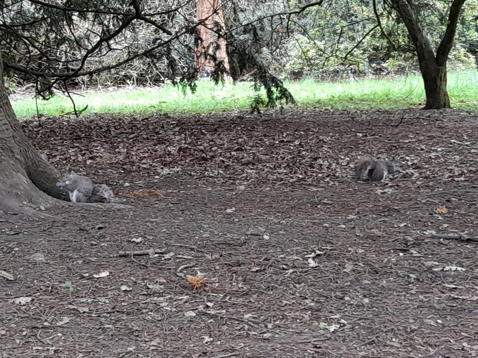 20210529_154047.jpg - adamm19777