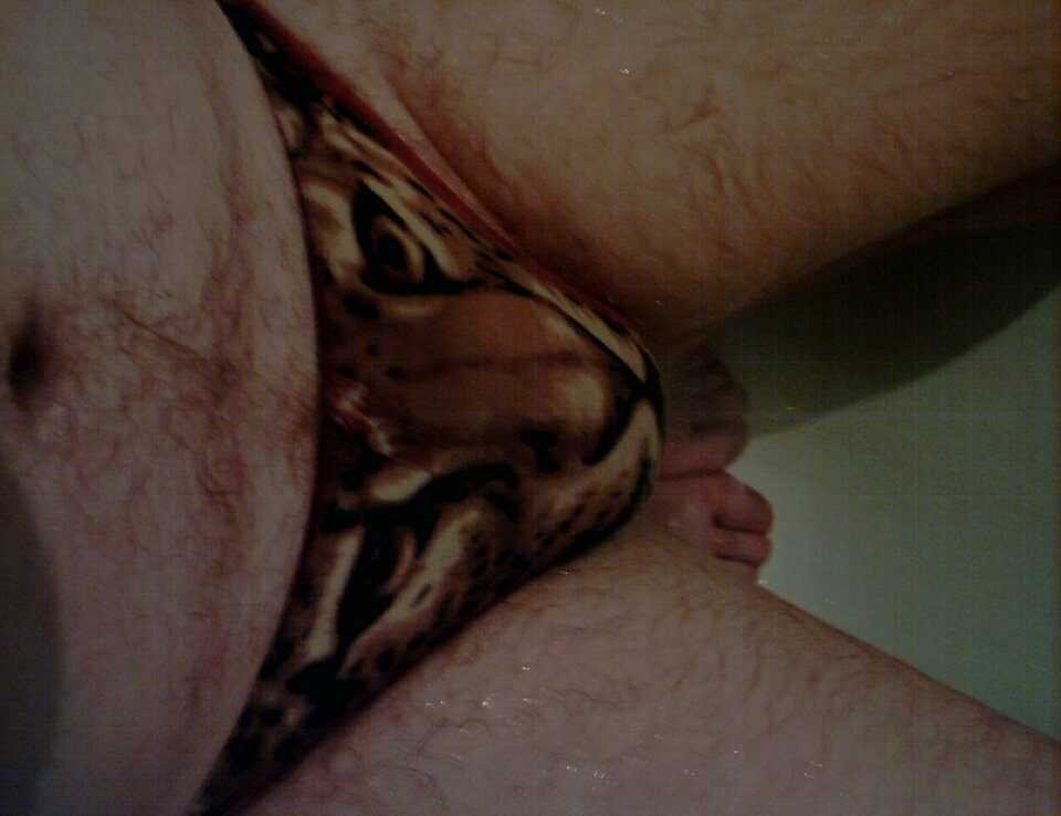 SUNP0010.JPG - tygrysekl