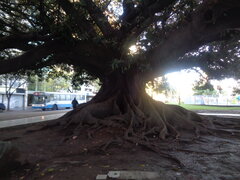DSC01243.JPG