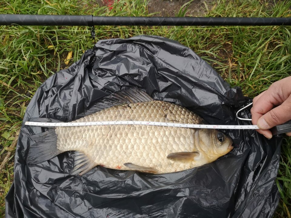 IMG-20210525-WA0000.jpg - rafi07