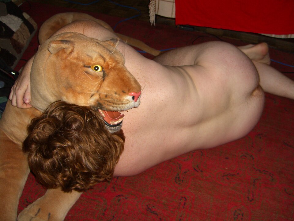 cimg2511.jpg - tygrysekl