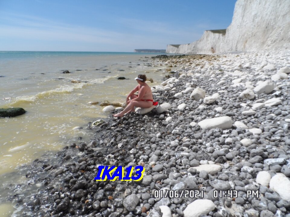 SAM_3398.JPG - ika13