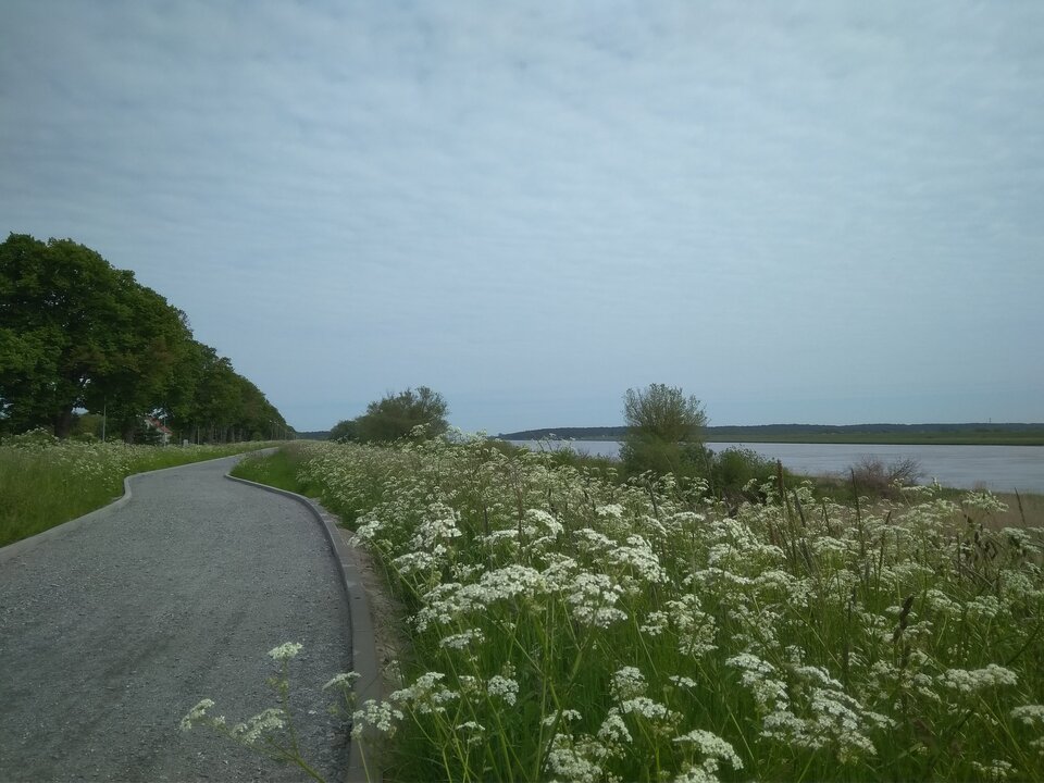 IMG_20210602_102449.jpg - matmartifer