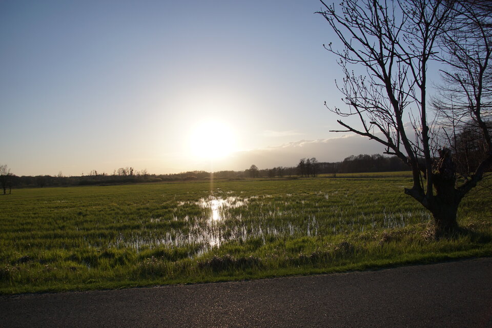 DSC09145.JPG - dziki42