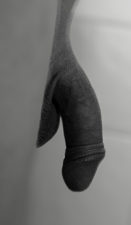 IMG_20210603_080237.jpg - belton50000