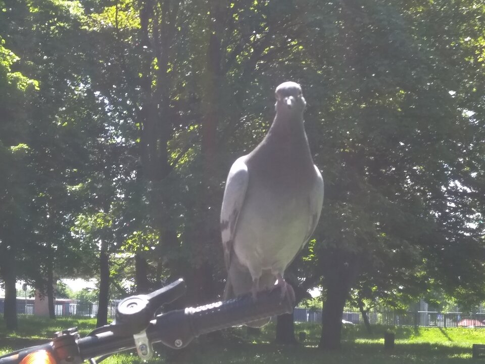 IMG_20210603_114338.jpg - matmartifer