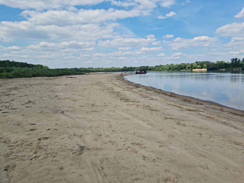 20210603_130938.jpg - Piciuwrc