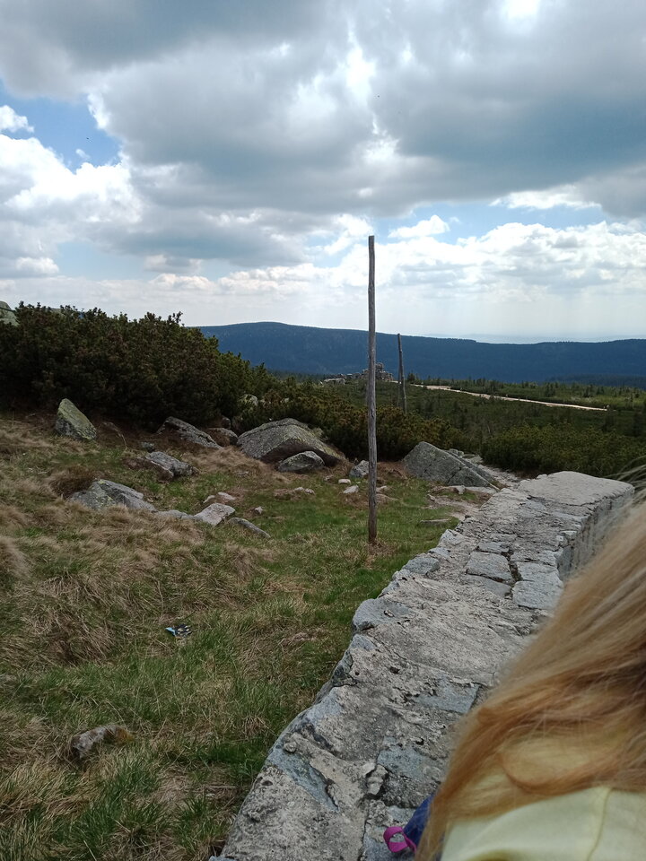 IMG20210603141633.jpg - kinga1908