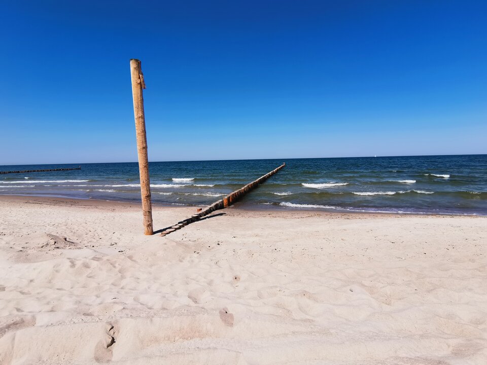 IMG_20210603_144217.jpg - PiggyiKermit