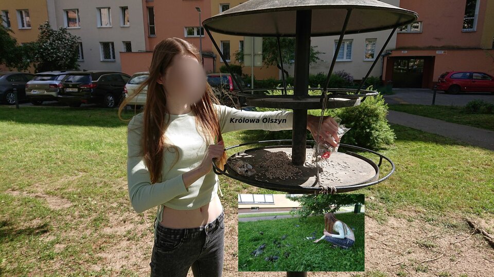 2021-06-03 DSC_2636 skladanka.jpg - KrolowaOlszyn