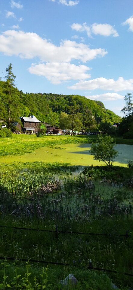 IMG_20210603_170038.jpg - MattVegass