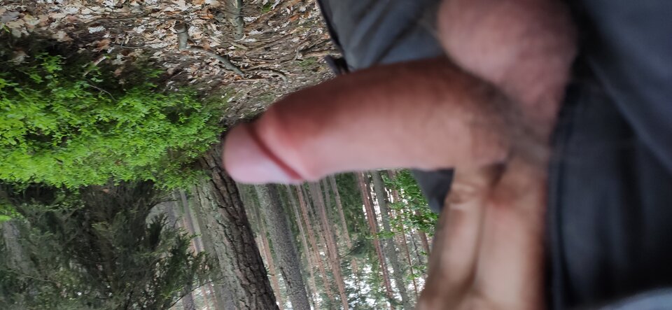 IMG_20210603_204518.jpg - milyon1983