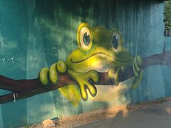 IMG_20210603_194507583.jpg