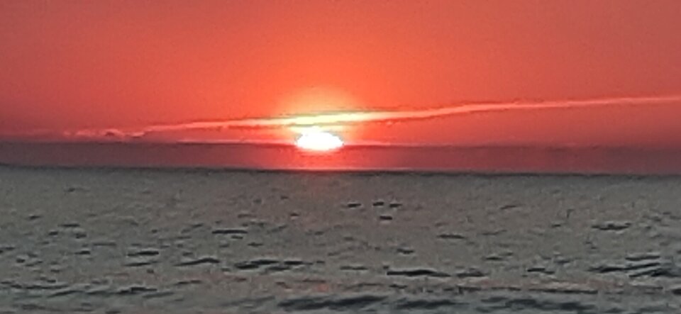 20210603_212235.jpg - janusz1964103