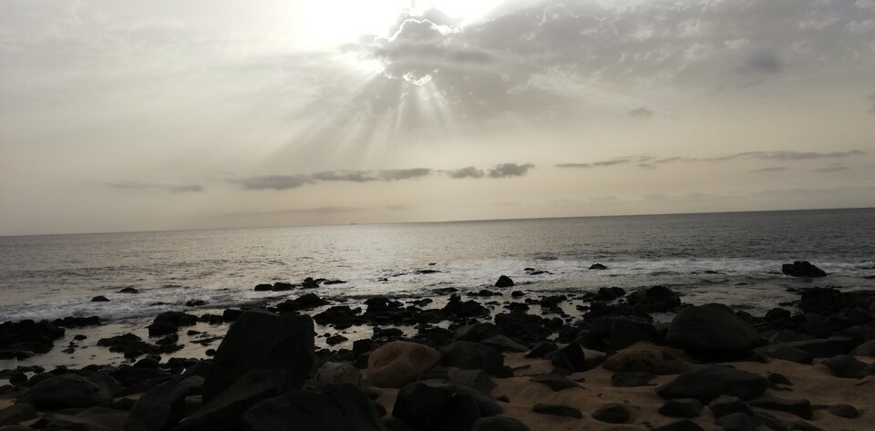 IMG_20210601_175025.jpg - singiel39