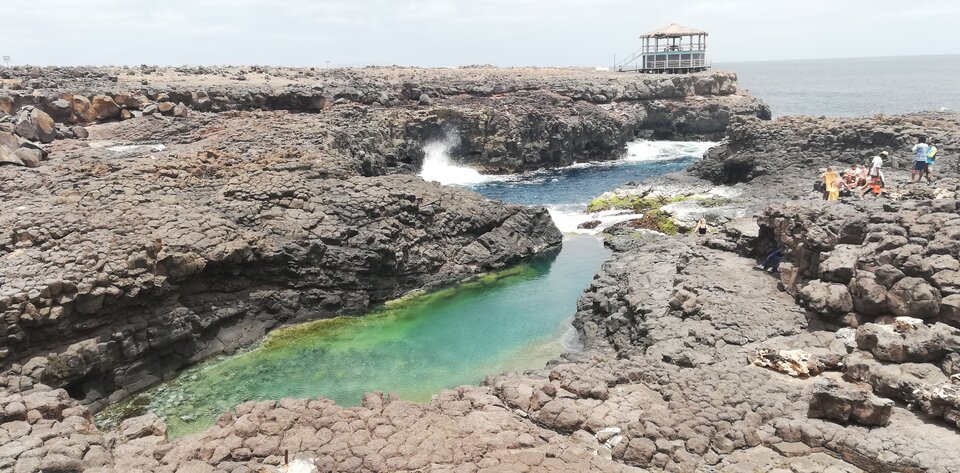 IMG_20210602_121051.jpg - singiel39