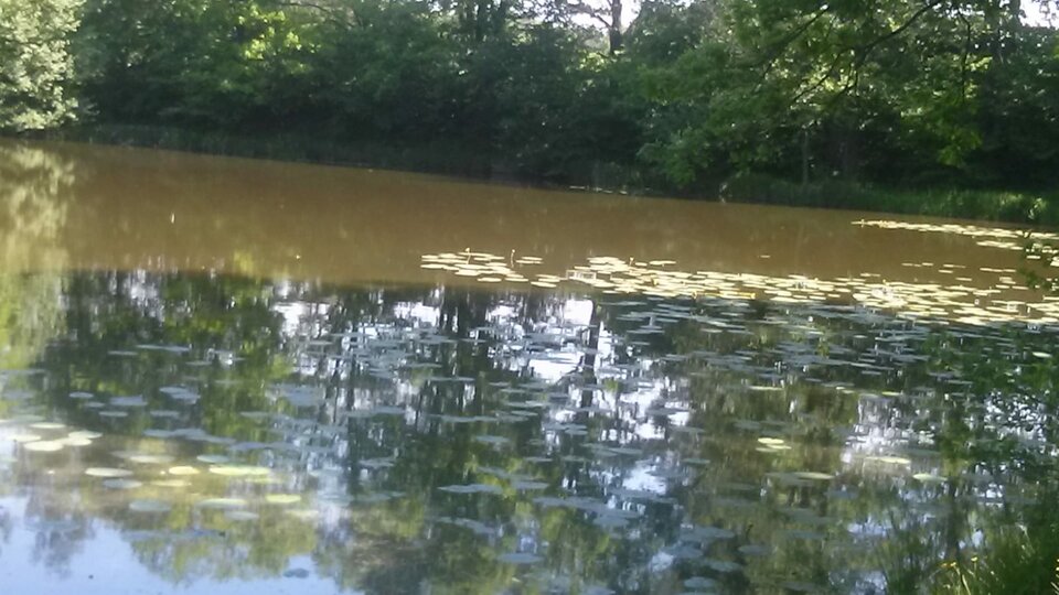 IMG-20210603-WA0000.jpg - wredota1987