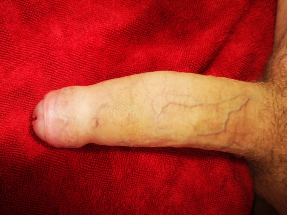 IMG_20210604_005353.jpg - aslebeg