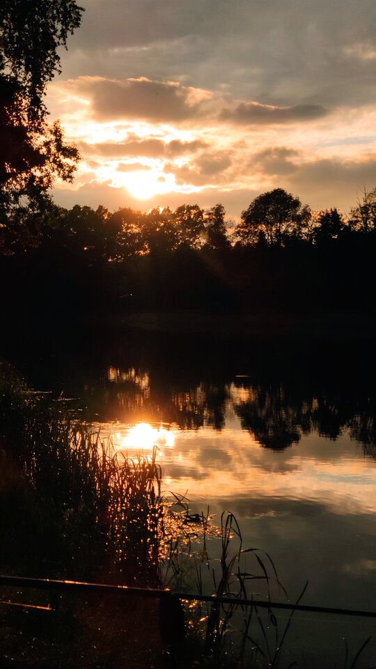 IMG_20210530_194341_1.jpg - misiunio123