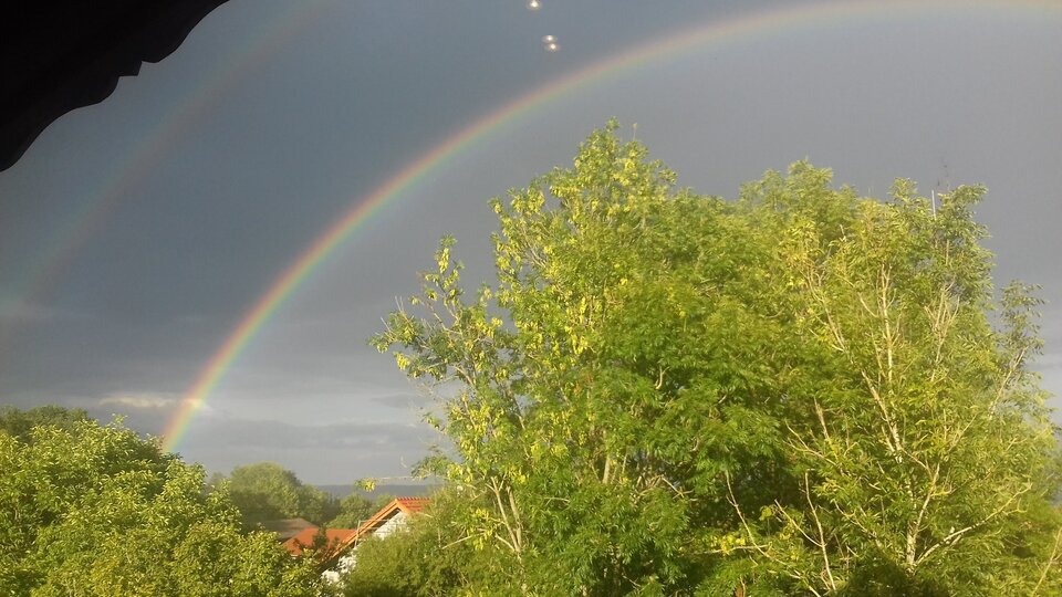 20180814_185831.jpg - uleglypsiak1