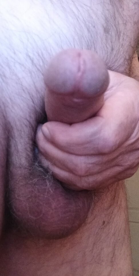 195394595_329419265375913_1223804021807347828_n.jpg - konrad5258