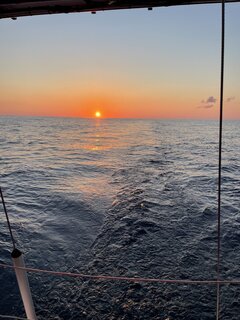 A16DD151-B998-479D-B1FE-319A696EC1D1.jpeg